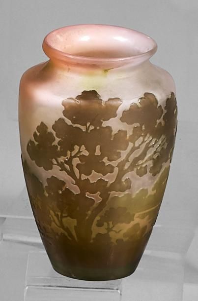 Émile GALLÉ (1846-1904)
Vase de forme balustre,...