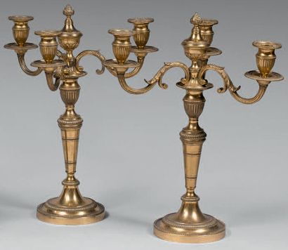 Paire de candélabres en bronze doré à bouquet...