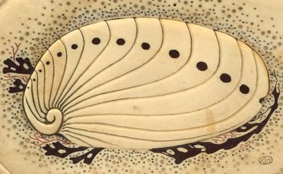 Yokohama O'KIN, Eugénie Jubin dite (1880-1948)
Boîte...