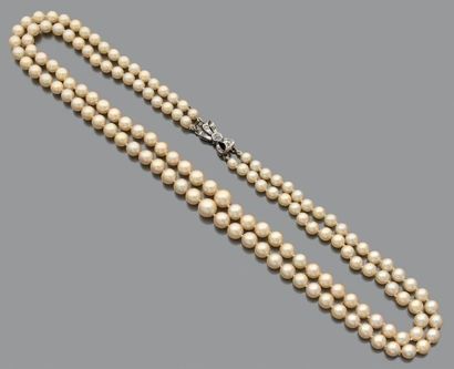 Collier double rang de perles de culture...