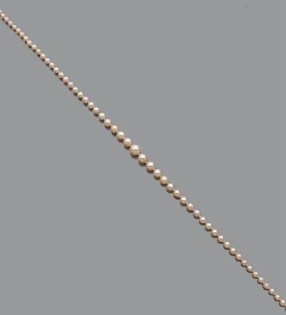 Collier de perles de culture en chute, le...