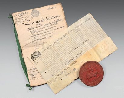ARCHIVES DE LA FAMILLE D'HOFFELIZE ET ALLIÉS,...