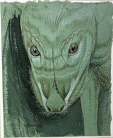 AKOS SZABO (NE EN 1936)
LE LOUP, 1980.
Plume...