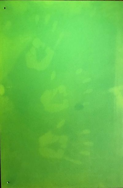 Véronique JOUMARD (né en 1964)
TABLEAU VERT.
Peinture...