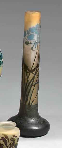 Émile GALLÉ (1846-1904)

Vase à haut col...