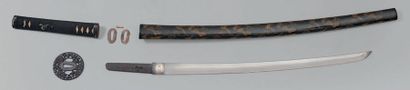 JAPON - Epoque MEIJI (1868 - 1912)

Shinshinto...