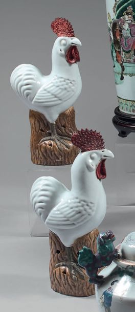 CHINE - Début du XXème siècle

Paire de coqs...