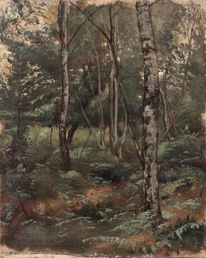 Jean SCOHY (1824-1897)

SOUS-BOIS.
Huile...