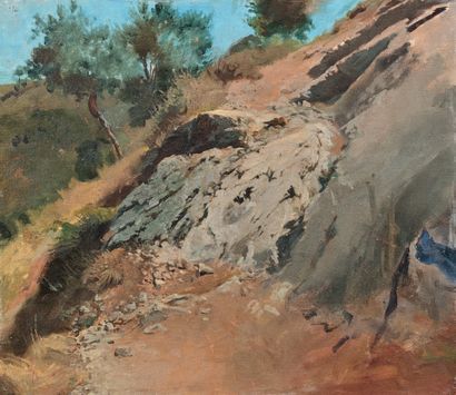Jean SCOHY (1824-1897)

PENTE ROCHEUSE AVEC...