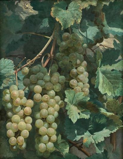 Jean SCOHY (1824-1897)

PAMPRES DE VIGNES....