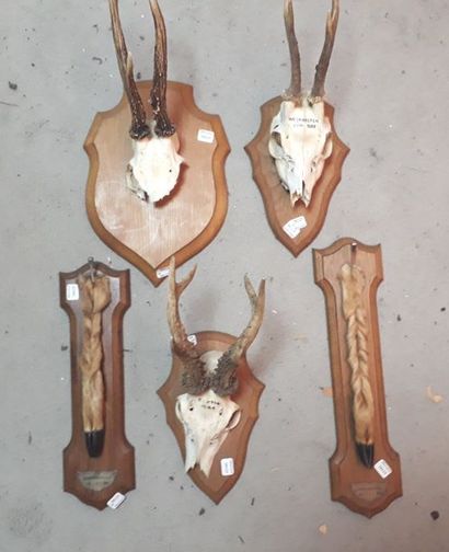 Trois massacres (dont deux notés WestHalten...