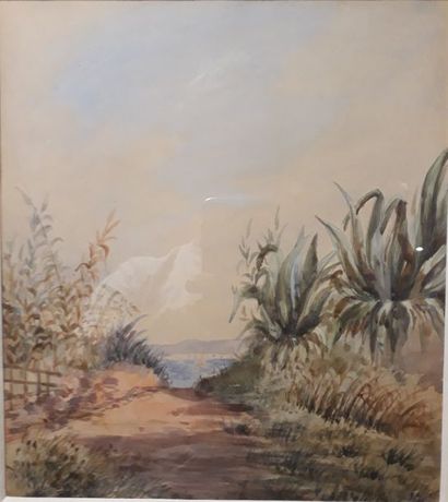 Ecole FRANCAISE du XXème siècle :

LE CHEMIN...