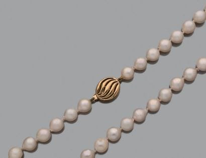 Collier de perles de culture choker, le fermoir...