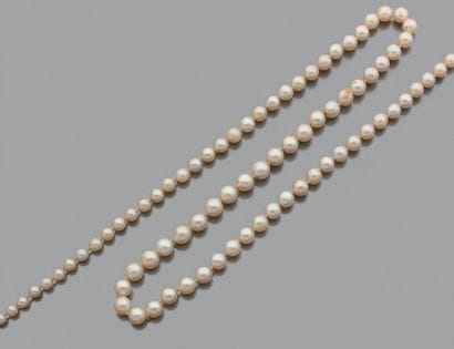 Sautoir de perles de culture en chute, le...