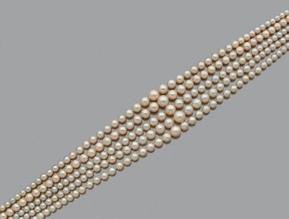 Collier de cinq rangs de perles de culture,...