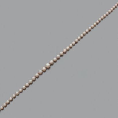 Collier de perles de culture en chute, le...