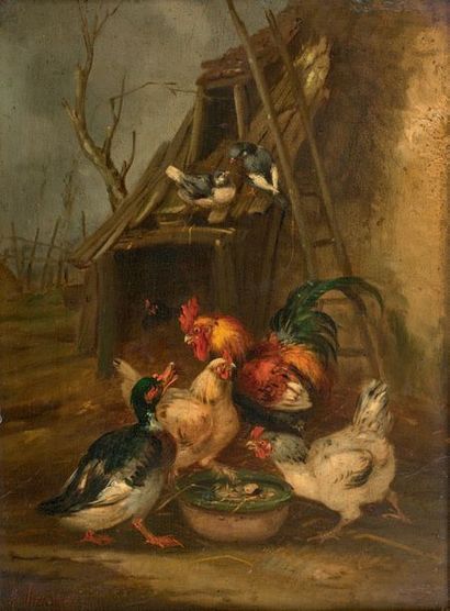 Claude GUILLEMINET (1821- circa 1866)
- COQ,...