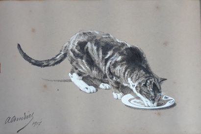 ECOLE FRANCAISE DU XXème siècle
CHAT BUVANT...
