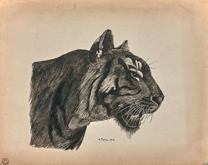 A. JOUVE (XXème siècle)
TÊTE DE TIGRE, 1948.
Encre...