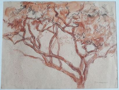 Ecole Moderne
TOURMENT.
Encre et lavis d'encre...
