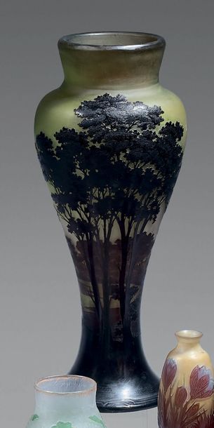 Émile GALLÉ (1846-1904)
Grand vase de forme...