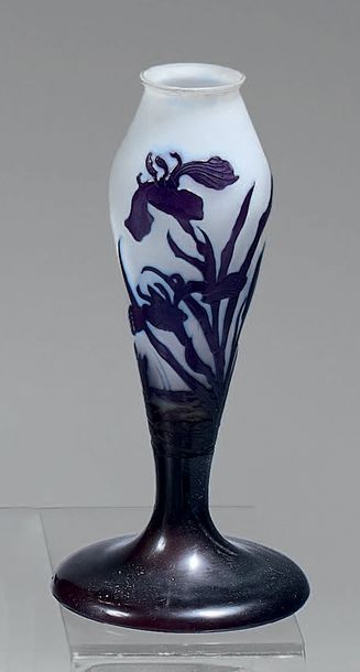 Émile GALLÉ (1846-1904)
Pied de lampe de...