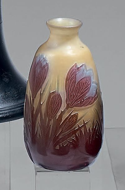 Émile GALLÉ (1846-1904)
Petit vase ovoïde...