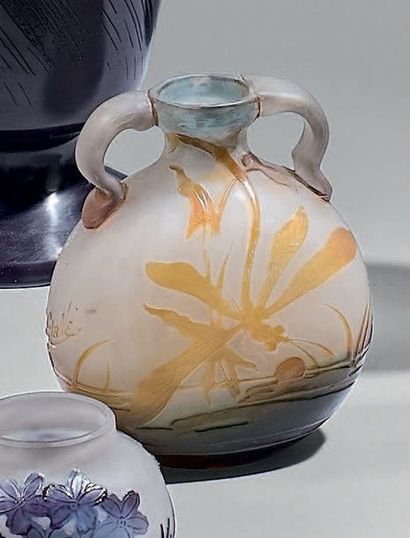 Émile GALLÉ (1846-1904)
Vase de forme gourde...