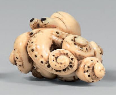 JAPON - Époque EDO (1603-1868)
Netsuke en...
