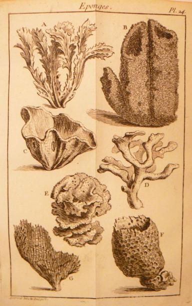 [TURGOT (E.F.)]
Mémoire Instructif sur la...