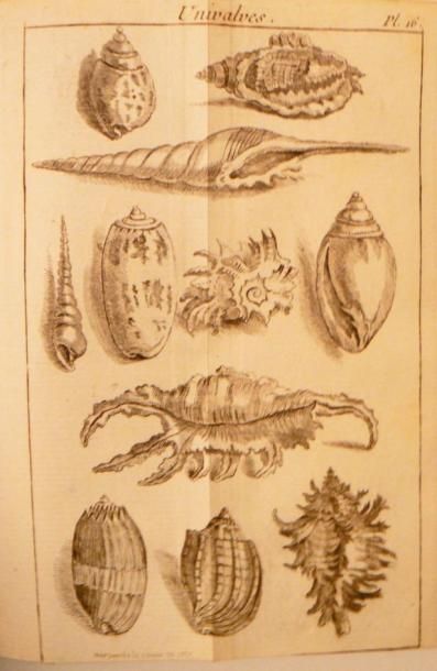 [TURGOT (E.F.)]
Mémoire Instructif sur la...