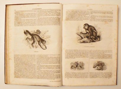 BOITARD (Pierre)
Le Jardin des Plantes. Description...