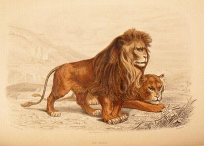 BUFFON (Georges Louis Leclerc, comte de)
Oeuvres...