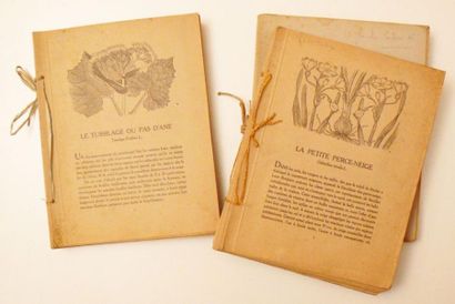 [ROBERT (P.) & SPINNER (H.)]
[Nos fleurs.]...