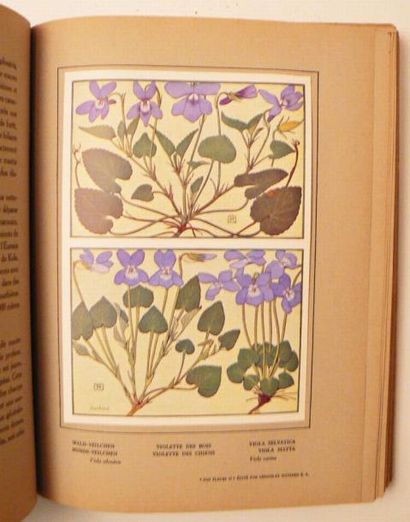 [ROBERT (P.) & SPINNER (H.)]
[Nos fleurs.]...