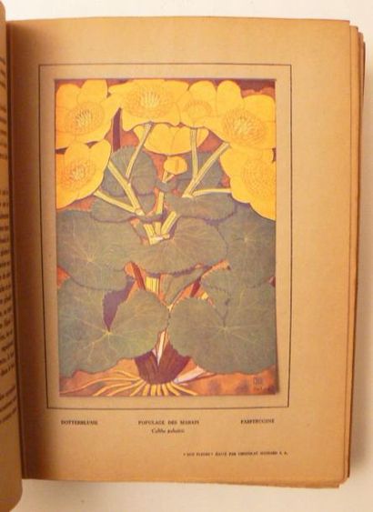 [ROBERT (P.) & SPINNER (H.)]
[Nos fleurs.]...