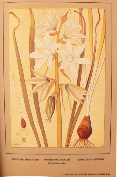 [ROBERT (P.) & SPINNER (H.)]
[Nos fleurs.]...