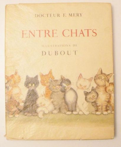 DUBOUT (Albert) & MERY (Dr F.)
Entre chats....