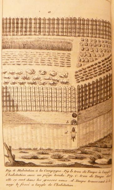 CADET DE VAUX (A. A.)
De la taupe, de ses...