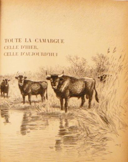Camargue - BURNAND (Tony) & OBERTHUR (Joseph)
Toute...