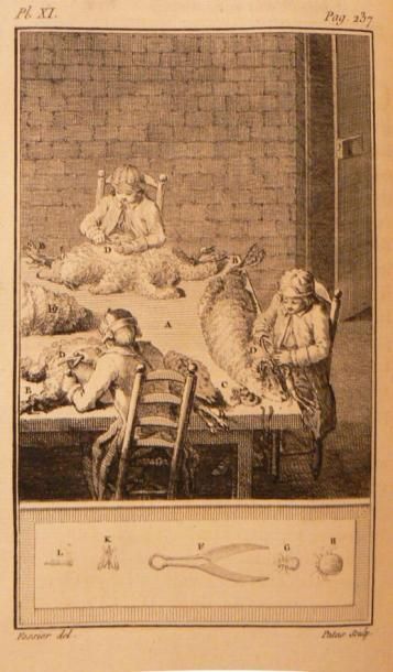 Mouton - DAUBENTON (Louis Jean Marie). Instruction...