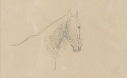 Camille PISSARRO (1830-1903)
Horse
head Drawing...