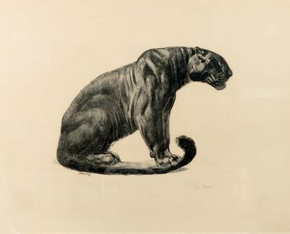 Paul JOUVE (1880-1973)
Seated panther, profile
view...