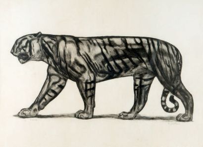 Paul JOUVE (1880-1973)
Tiger
Etching on parchment,...
