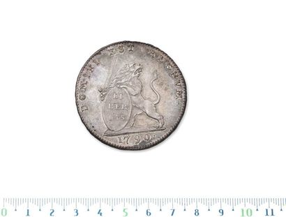 Silver Lion. 1790. Brussels.
Delm. 395. ...