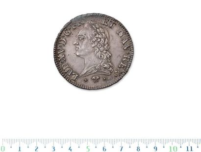 Shield with the old head. 1774. Bayonne.
D....