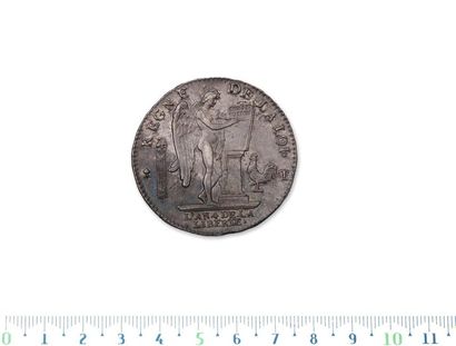 Constitutional shield. 1792. Nantes.
D. 1718....