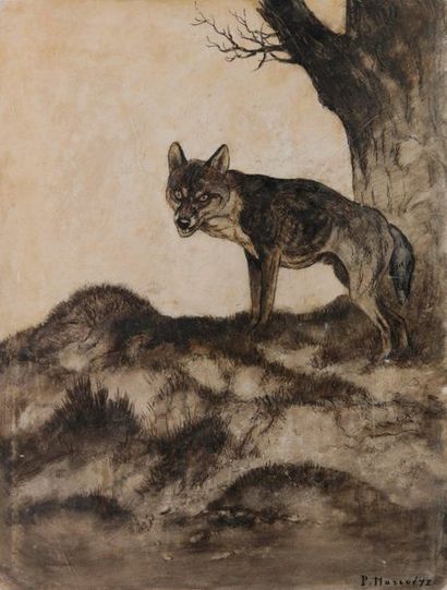 Paul MARCUEYZ (1877-1952). Le Loup. Encre...