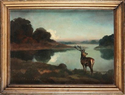 Paul MARCUEYZ (1877-1952). Cerf au bord de...