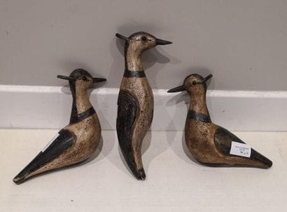 Vanneaux huppés (vanelles). Trois appelants...